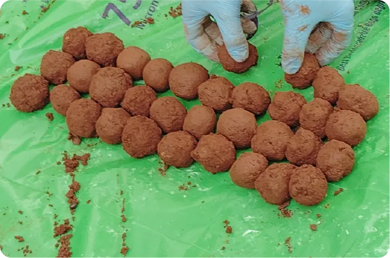 Seed balls prepared for tree plantation and land restoration under YTDS initiative